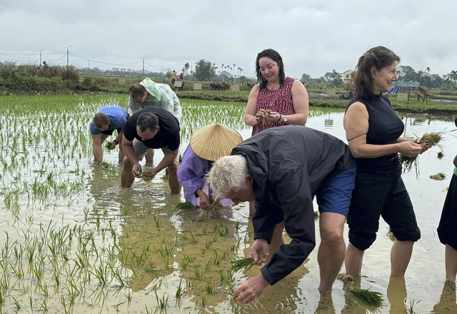 International Visitors Enjoy A Day As A Farmer In Hoi An Viet Nam