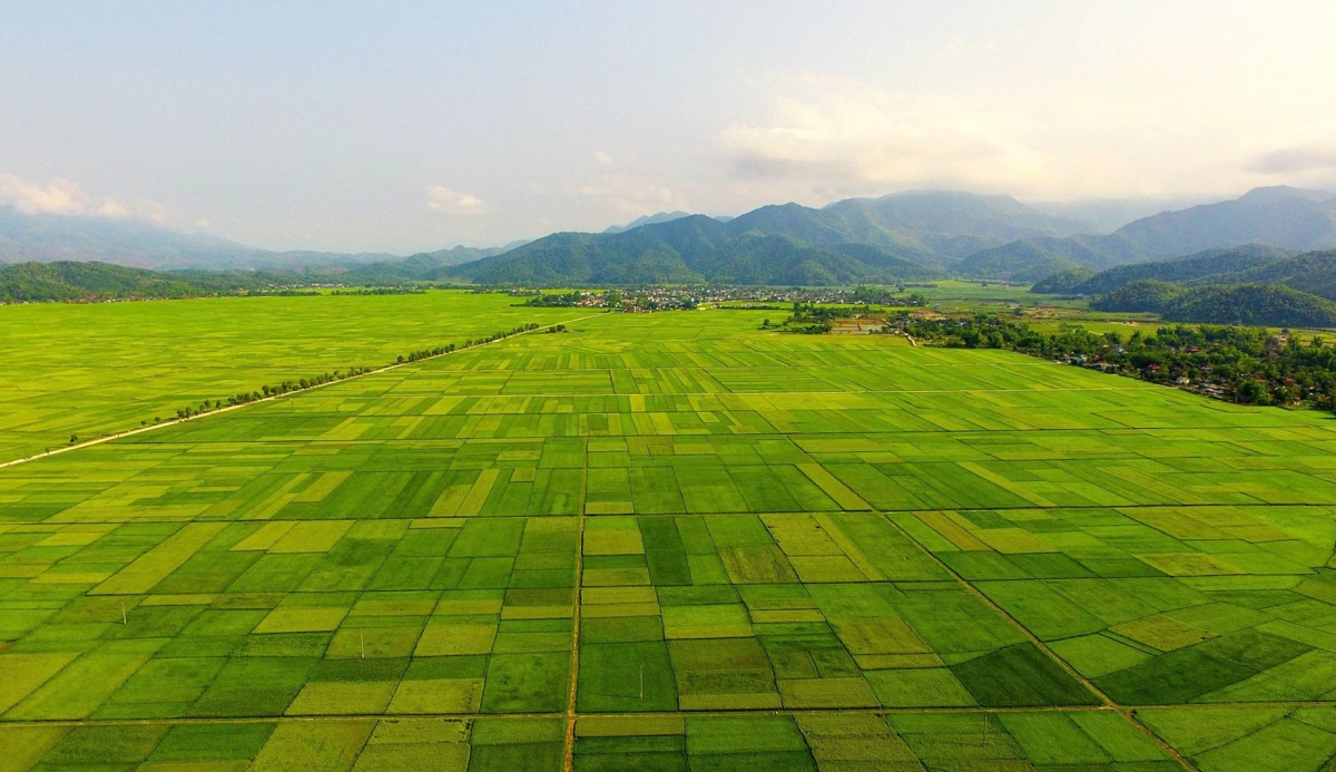 https://images.vietnamtourism.gov.vn/en//images/2024/jan/2_53.jpg