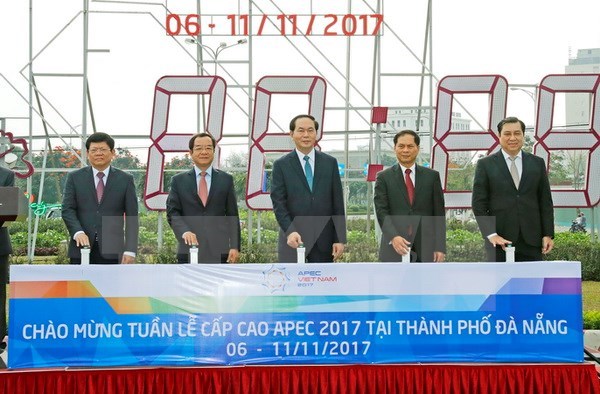 President inspects APEC Summit preparations in Da Nang - Viet Nam ...