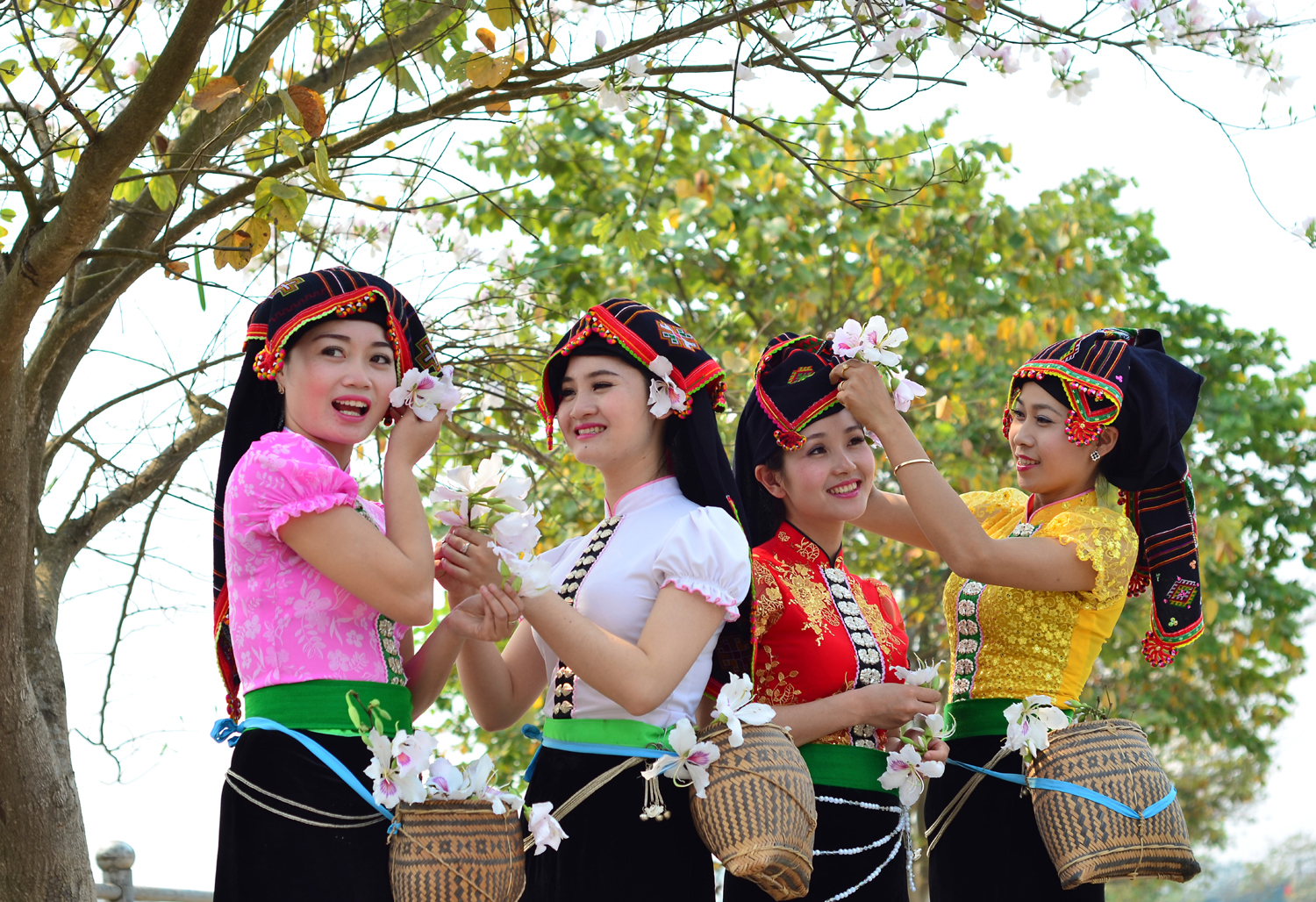 Ban Flower Festival to be held in middle of March 2022
