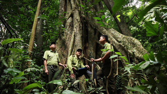 Vietnam’s Cuc Phuong National Park honored leading national park in ...