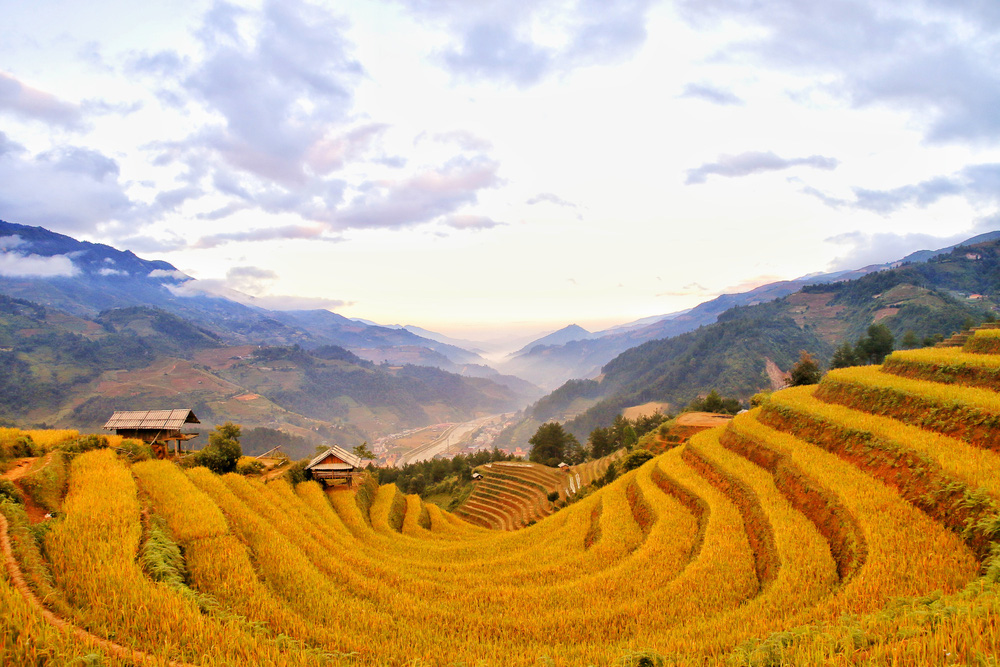 Arrozales en Vietnam (Guía esencial), Naturaleza-Vietnam (2)