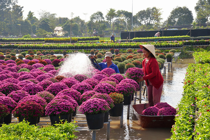 Du lịch Ẩm thực Đặc sản miền Tây Đồng Tháp liên hệ 0915326788 https://mientaynet.com/netnguoimientay/