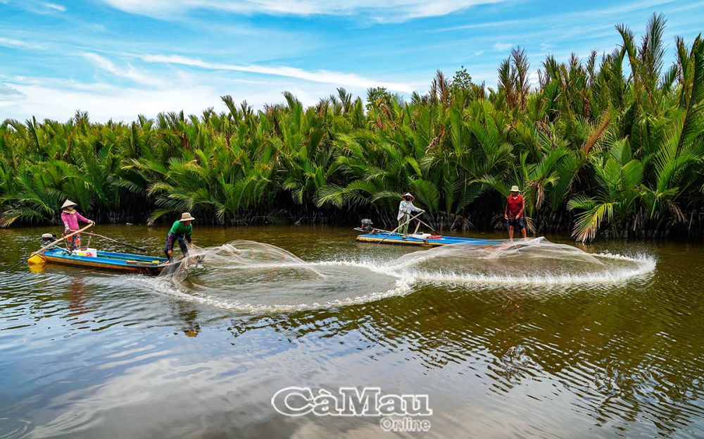 Ðầm Thị Tường (Cà Mau) - Nơi trải nghiệm độc đáo