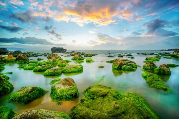 Rạn Nam Ô: Thiên đường của đá