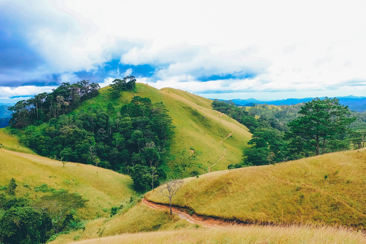 Khám Phá Hành Trình Trekking Tà Năng - Thiên Đường Cho Người Yêu Xê Dịch