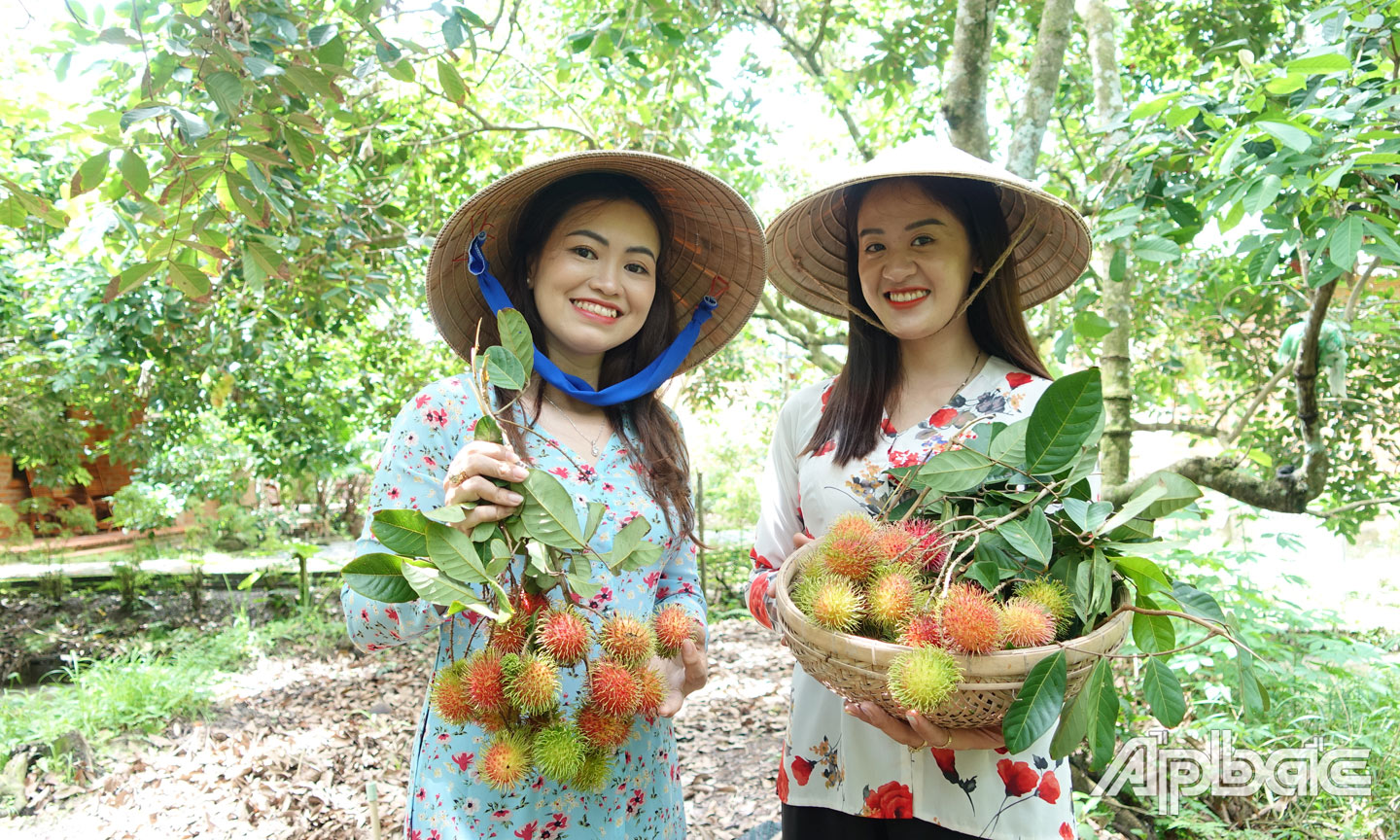 Cai Lay Rai Tai Huyện Cai Lậy - Tiền Giang: Kỳ vọng du lịch phát triển - Cục Du lịch ...