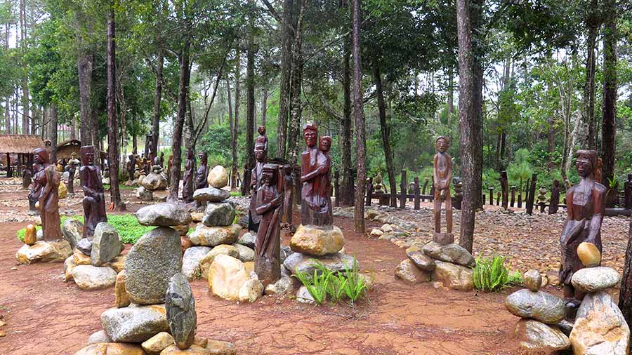 Ấn tượng Vườn Nghệ thuật Măng Đen mang đậm dấu ấn Tây Nguyên