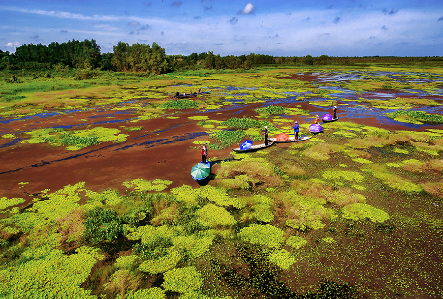 Phú Quốc: Trung tâm du lịch - dịch vụ - giải trí đẳng cấp quốc tế