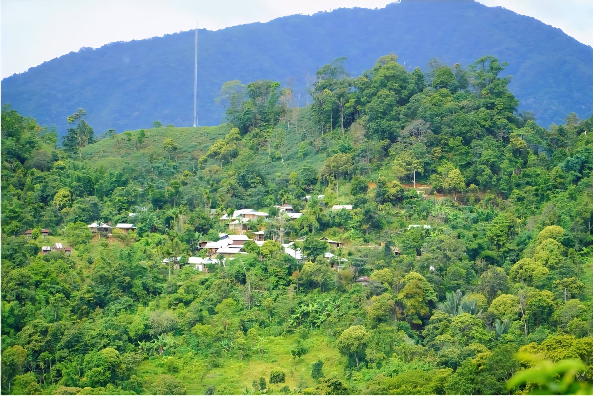 du lịch