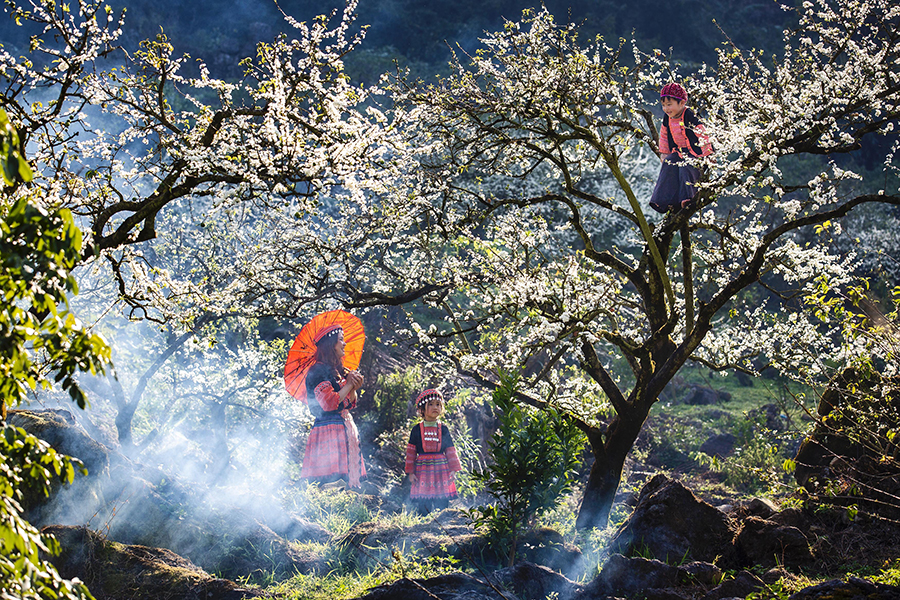 Du lịch Việt Nam trước vận hội mới: Thể chế mở đường, tăng trưởng cất cánh