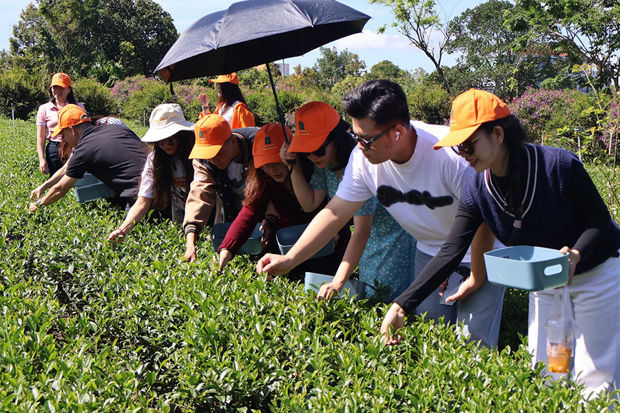 Ban hành đề án về sản xuất, kinh doanh nông sản an toàn vì sức khỏe cộng đồng