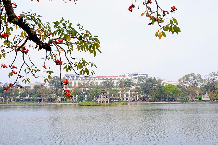 Việt Nam: Câu chuyện của sức hút toàn cầu