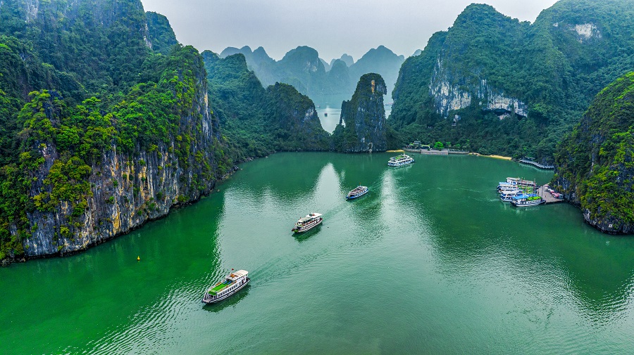 du lịch