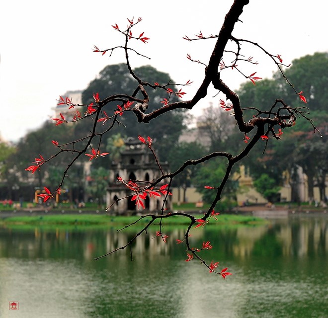 Image hình ảnh hình ảnh hình ảnh hình ảnh hình ảnh hình ảnh hình ảnh hình ảnh hình ảnh hình ảnh Đỗ Hà Nam - Triển lãm ảnh “Sắc màu hồ Gươm”