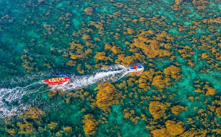 du lịch