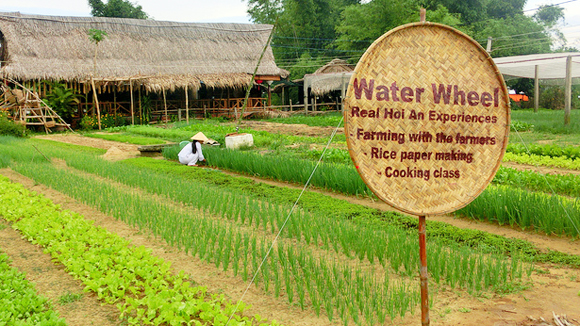 Làng rau Trà Quế